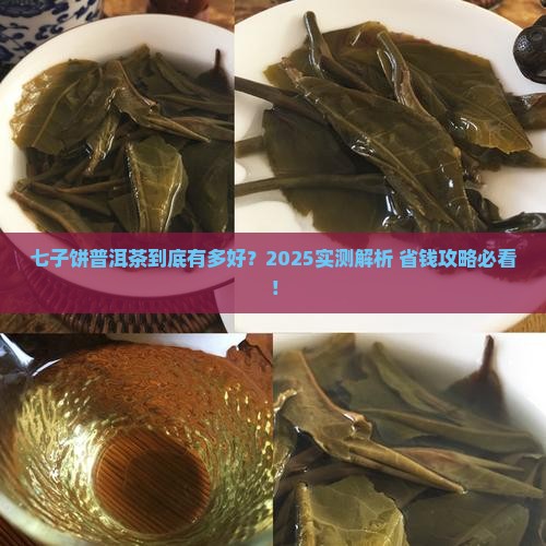 七子饼普洱茶好吗