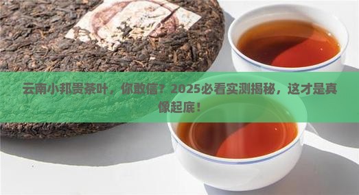 云南有一种茶叶叫小邦贵