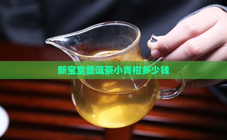 新宝堂普洱茶小青柑多少钱