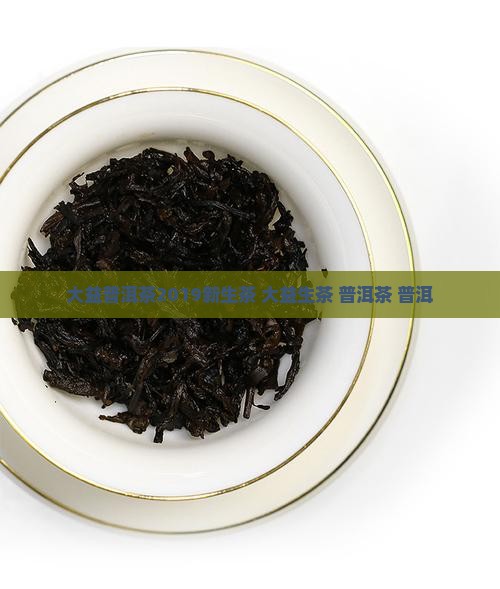 大益普洱茶2019新生茶