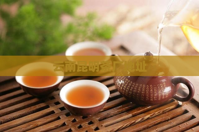 云南昆明茶厂地址