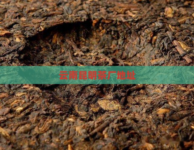 云南昆明茶厂地址