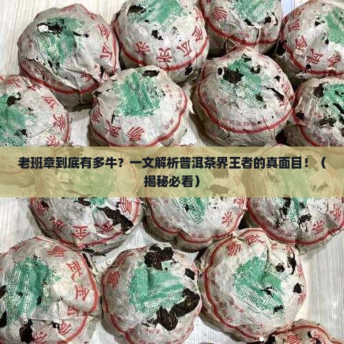 普洱老班章讲解