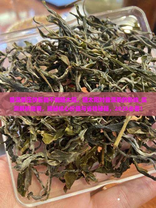 普洱茶压饼后能不能晒太阳