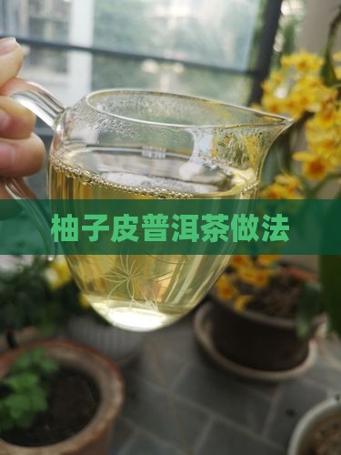 柚子皮普洱茶做法 柚子皮普洱茶做法