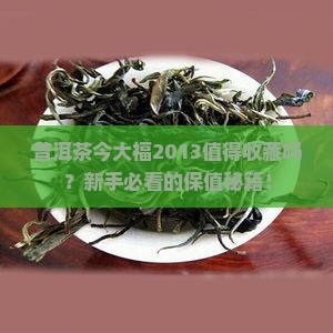 普洱茶今大福2013