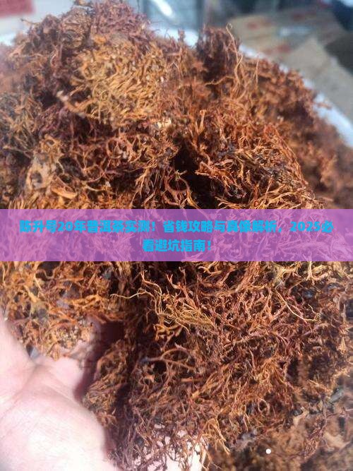陈升号20年普洱茶
