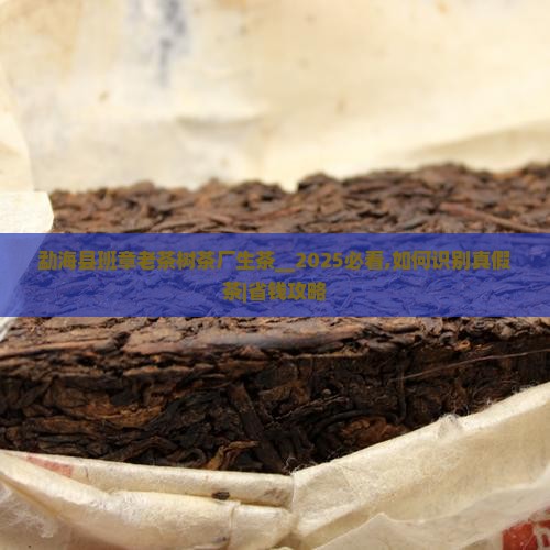 勐海县班章老茶树茶厂生茶