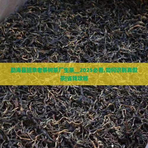 勐海县班章老茶树茶厂生茶