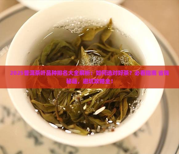 普洱茶叶品种排名大全