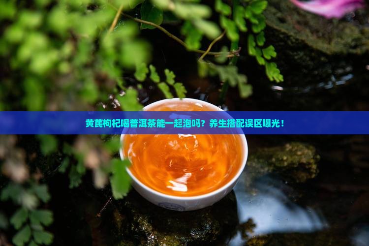 黄芪枸杞喝普洱茶能一起泡吗