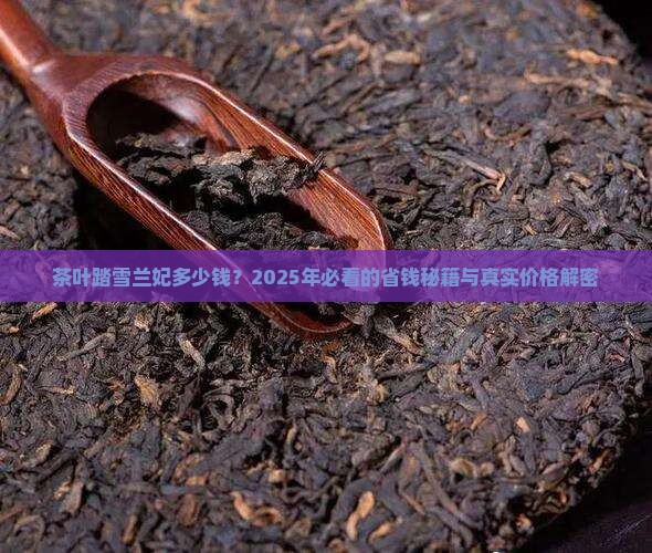 茶叶踏雪兰妃多少钱