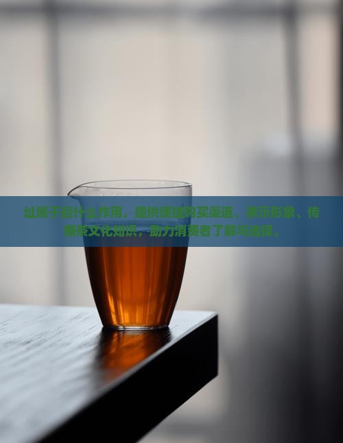 普洱茶网址属于起什么作用