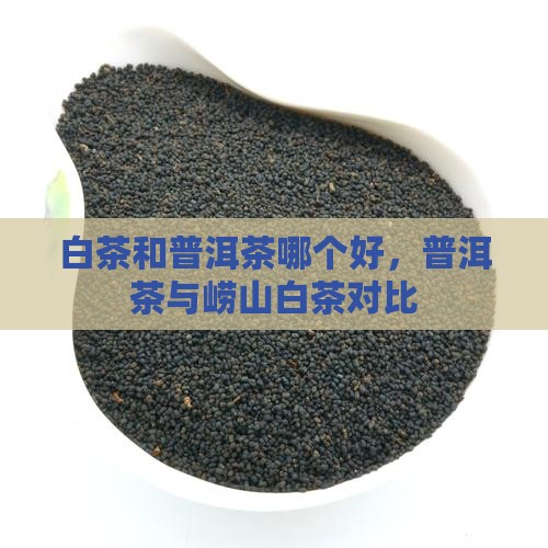 崂山白茶和普洱茶哪个好