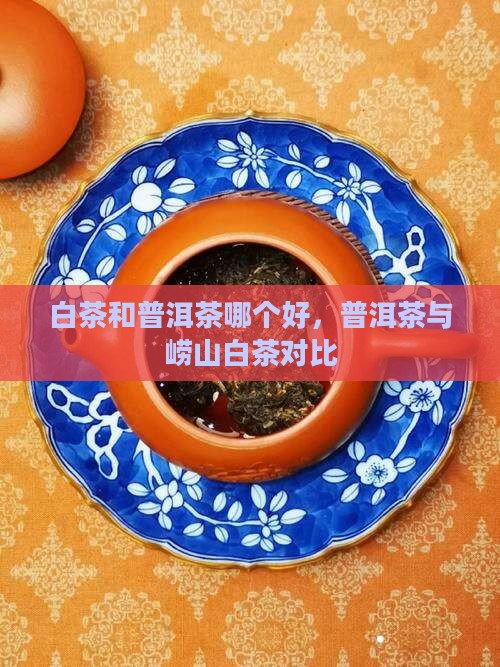 崂山白茶和普洱茶哪个好