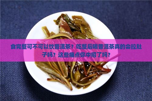食完蟹可不可以饮普洱茶