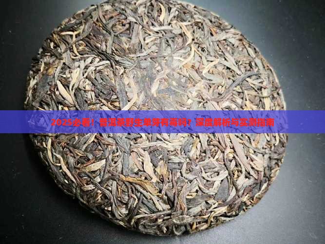 普洱茶野生单芽有毒吗