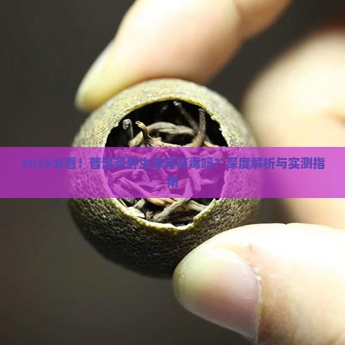 普洱茶野生单芽有毒吗