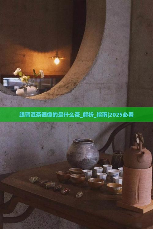 跟普洱茶很像的是什么茶