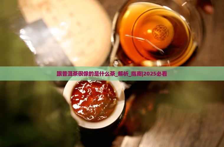 跟普洱茶很像的是什么茶