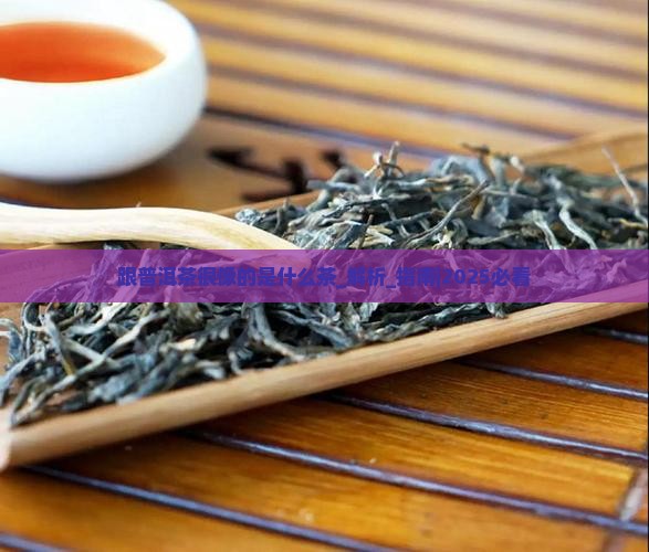 跟普洱茶很像的是什么茶