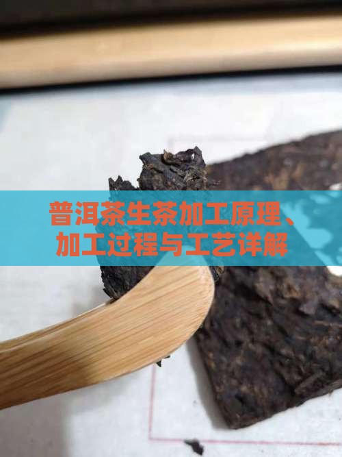 普洱茶生茶加工原理