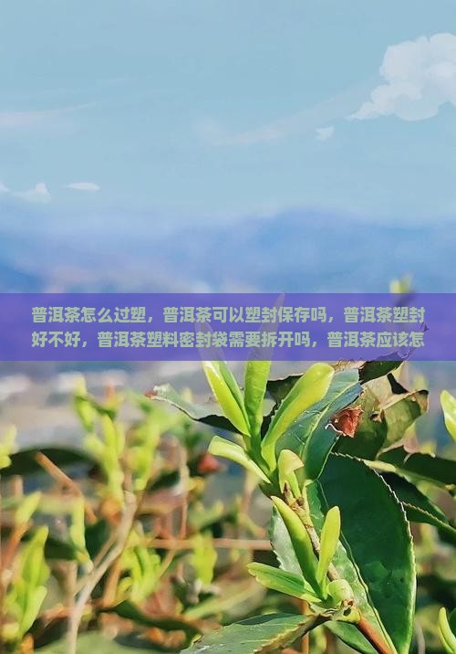 普洱茶怎么过塑