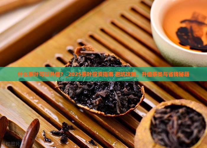 什么茶叶可以升值
