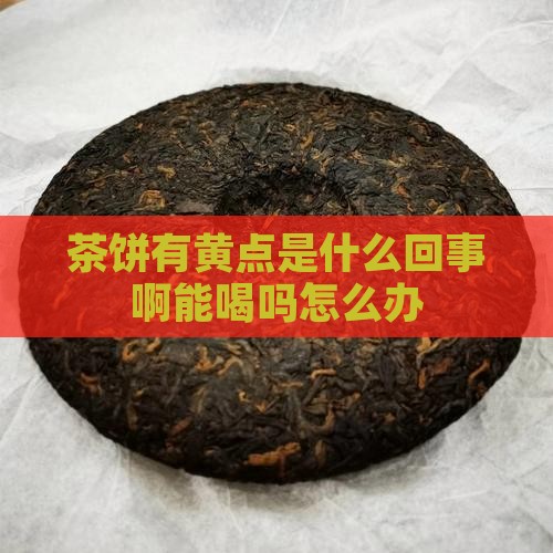 茶饼有黄点是什么回事啊