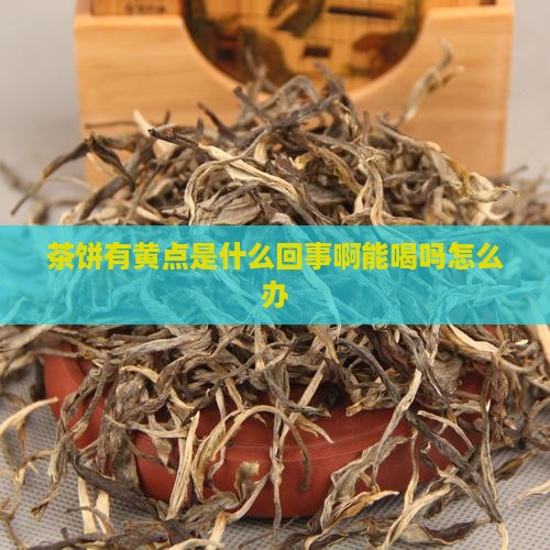 茶饼有黄点是什么回事啊