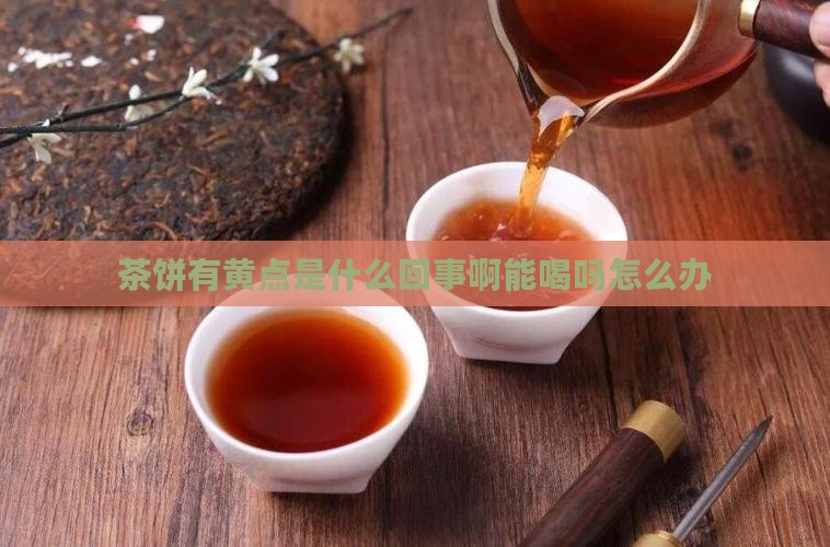 茶饼有黄点是什么回事啊