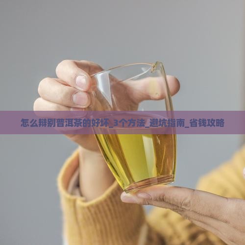怎么辩别普洱茶的好坏