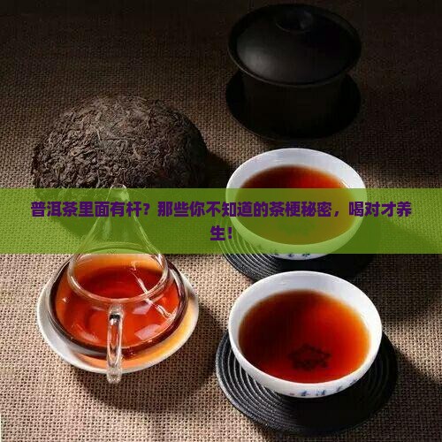 普洱茶里面有杆