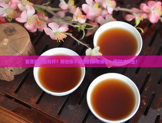 普洱茶里面有杆