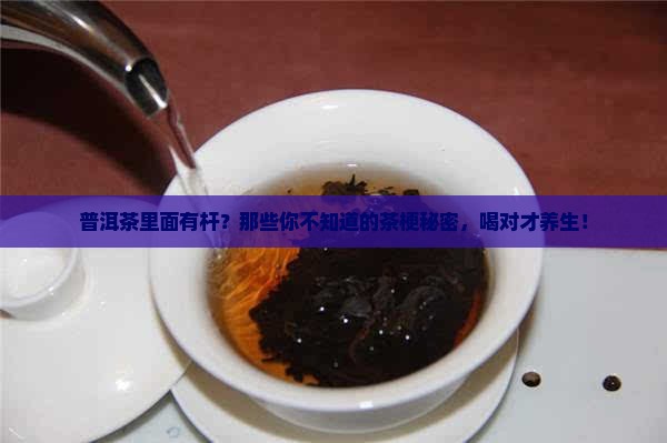 普洱茶里面有杆