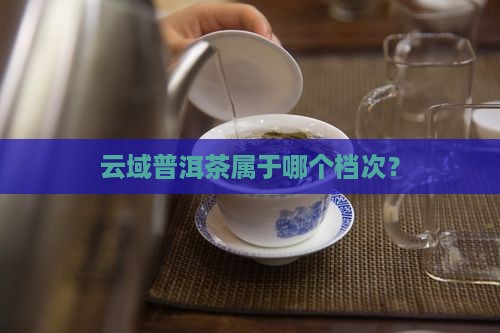 云域普洱茶是什么档次