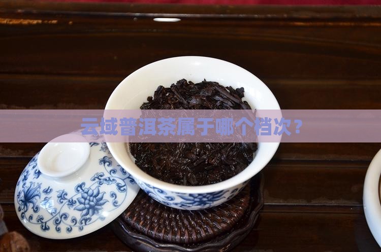 云域普洱茶是什么档次