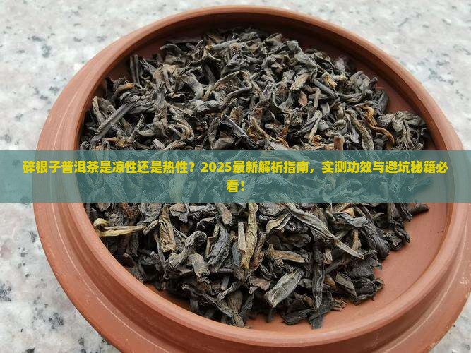 碎银子普洱茶是凉性的吗