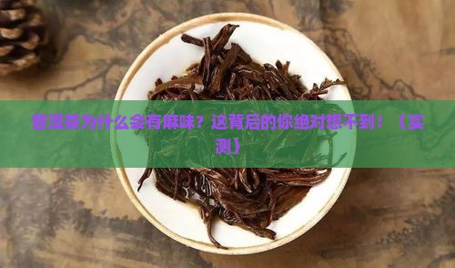 普洱茶麻味是什么原因