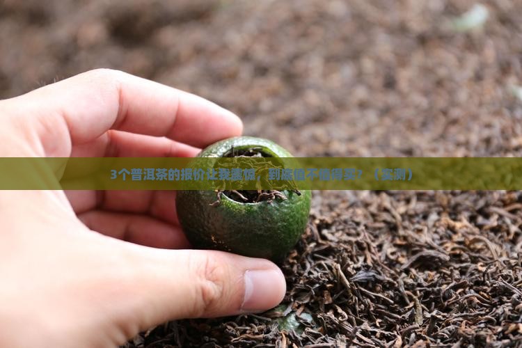 普洱茶大师的价格