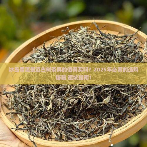 冰岛普洱景迈古树茶批发