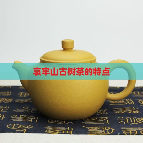 哀牢山古树茶的特点