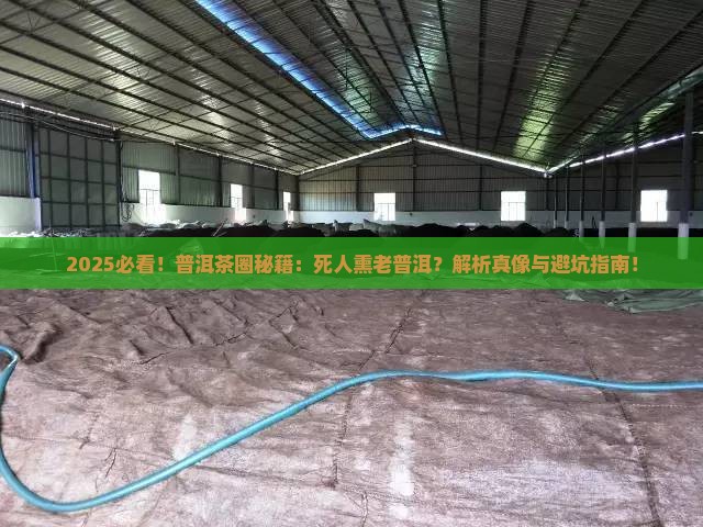 普洱茶用死人熏变老普洱