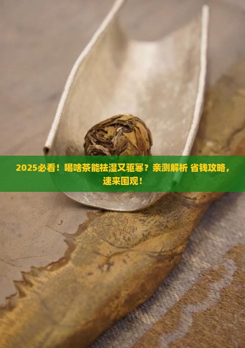 喝什么茶能祛湿祛寒