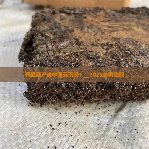 普洱茶产自中国云南吗