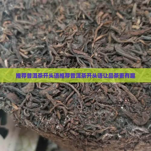 推荐普洱茶开头语