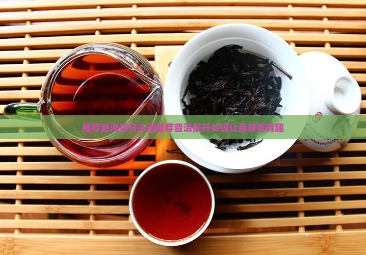 推荐普洱茶开头语