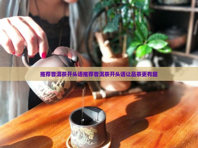 推荐普洱茶开头语