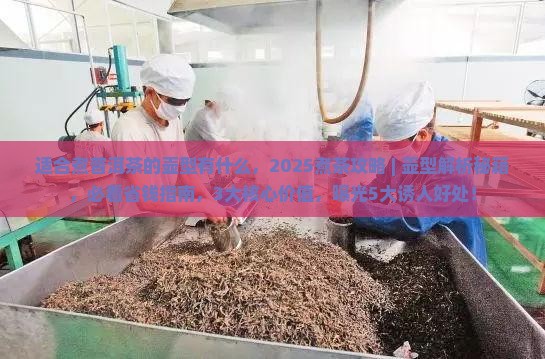 适合煮普洱茶的壶型有什么