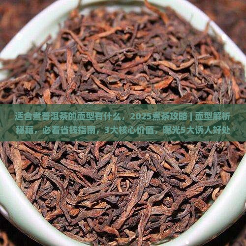 适合煮普洱茶的壶型有什么